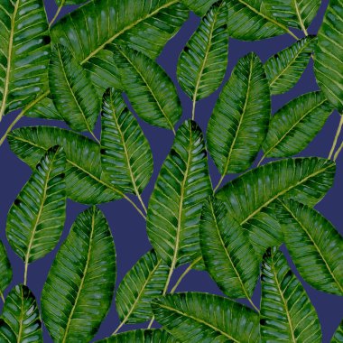Tekstil tasarımı için suluboya tropikal yaprakları ve çiçekleri olan modern, soyut, dikişsiz desen. Geçmişe dönük parlak yaz geçmişi. Orman yaprakları çizimi. Mayo botanik tasarımı. Antika egzotik baskı.