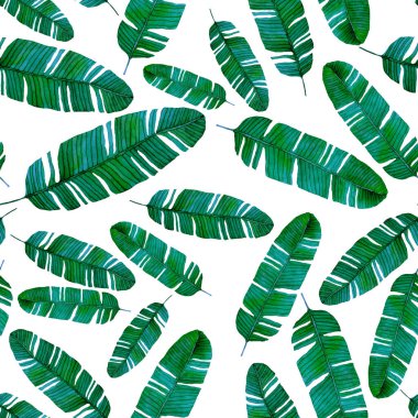 Tekstil tasarımı için suluboya tropikal yaprakları ve çiçekleri olan modern, soyut, dikişsiz desen. Geçmişe dönük parlak yaz geçmişi. Orman yaprakları çizimi. Mayo botanik tasarımı. Antika egzotik baskı.