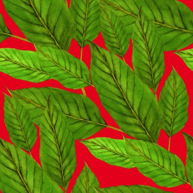 Tekstil tasarımı için suluboya tropikal yaprakları ve çiçekleri olan modern, soyut, dikişsiz desen. Geçmişe dönük parlak yaz geçmişi. Orman yaprakları çizimi. Mayo botanik tasarımı. Antika egzotik baskı.