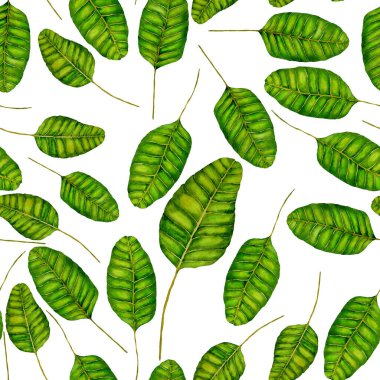 Tekstil tasarımı için suluboya tropikal yaprakları ve çiçekleri olan modern, soyut, dikişsiz desen. Geçmişe dönük parlak yaz geçmişi. Orman yaprakları çizimi. Mayo botanik tasarımı. Antika egzotik baskı.