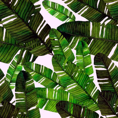 Tekstil tasarımı için suluboya tropikal yaprakları ve çiçekleri olan modern, soyut, dikişsiz desen. Geçmişe dönük parlak yaz geçmişi. Orman yaprakları çizimi. Mayo botanik tasarımı. Antika egzotik baskı.