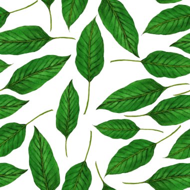 Tekstil tasarımı için suluboya tropikal yaprakları ve çiçekleri olan modern, soyut, dikişsiz desen. Geçmişe dönük parlak yaz geçmişi. Orman yaprakları çizimi. Mayo botanik tasarımı. Antika egzotik baskı.