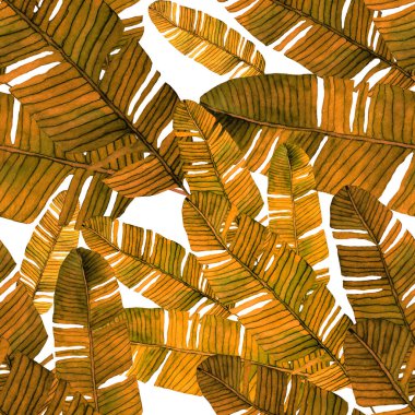 Tekstil tasarımı için suluboya tropikal yaprakları ve çiçekleri olan modern, soyut, dikişsiz desen. Geçmişe dönük parlak yaz geçmişi. Orman yaprakları çizimi. Mayo botanik tasarımı. Antika egzotik baskı.