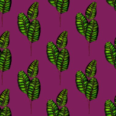 Tekstil tasarımı için suluboya tropikal yaprakları ve çiçekleri olan modern, soyut, dikişsiz desen. Geçmişe dönük parlak yaz geçmişi. Orman yaprakları çizimi. Mayo botanik tasarımı. Antika egzotik baskı.