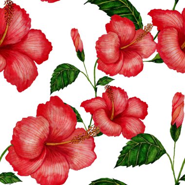 Tekstil tasarımı için suluboya tropikal yaprakları ve çiçekleri olan modern, soyut, dikişsiz desen. Geçmişe dönük parlak yaz geçmişi. Orman yaprakları çizimi. Mayo botanik tasarımı. Antika egzotik baskı.