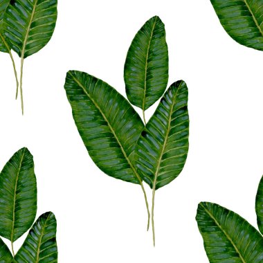 Tekstil tasarımı için suluboya tropikal yaprakları ve çiçekleri olan modern, soyut, dikişsiz desen. Geçmişe dönük parlak yaz geçmişi. Orman yaprakları çizimi. Mayo botanik tasarımı. Antika egzotik baskı.