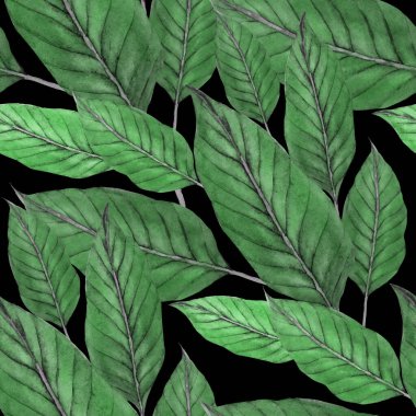 Tekstil tasarımı için suluboya tropikal yaprakları ve çiçekleri olan modern, soyut, dikişsiz desen. Geçmişe dönük parlak yaz geçmişi. Orman yaprakları çizimi. Mayo botanik tasarımı. Antika egzotik baskı.