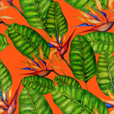 Tekstil tasarımı için suluboya tropikal yaprakları ve çiçekleri olan modern, soyut, dikişsiz desen. Geçmişe dönük parlak yaz geçmişi. Orman yaprakları çizimi. Mayo botanik tasarımı. Antika egzotik baskı.