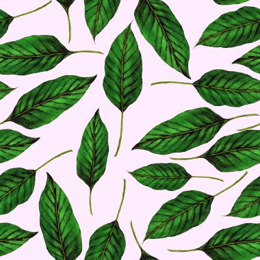 Tekstil tasarımı için suluboya tropikal yaprakları ve çiçekleri olan modern, soyut, dikişsiz desen. Geçmişe dönük parlak yaz geçmişi. Orman yaprakları çizimi. Mayo botanik tasarımı. Antika egzotik baskı.