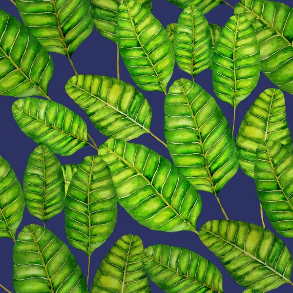 Modern Abstract Naadloos Patroon Met Aquarel Tropische Bladeren Bloemen Voor — Stockfoto