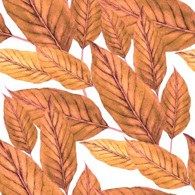 Tekstil tasarımı için suluboya tropikal yaprakları ve çiçekleri olan modern, soyut, dikişsiz desen. Geçmişe dönük parlak yaz geçmişi. Orman yaprakları çizimi. Mayo botanik tasarımı. Antika egzotik baskı.