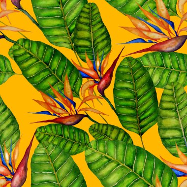 Tekstil tasarımı için suluboya tropikal yaprakları ve çiçekleri olan modern, soyut, dikişsiz desen. Geçmişe dönük parlak yaz geçmişi. Orman yaprakları çizimi. Mayo botanik tasarımı. Antika egzotik baskı.