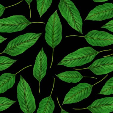 Tekstil tasarımı için suluboya tropikal yaprakları ve çiçekleri olan modern, soyut, dikişsiz desen. Geçmişe dönük parlak yaz geçmişi. Orman yaprakları çizimi. Mayo botanik tasarımı. Antika egzotik baskı.