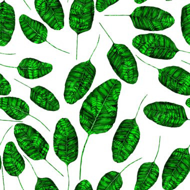Tekstil tasarımı için suluboya tropikal yaprakları ve çiçekleri olan modern, soyut, dikişsiz desen. Geçmişe dönük parlak yaz geçmişi. Orman yaprakları çizimi. Mayo botanik tasarımı. Antika egzotik baskı.
