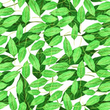 Tekstil tasarımı için suluboya tropikal yaprakları ve çiçekleri olan modern, soyut, dikişsiz desen. Geçmişe dönük parlak yaz geçmişi. Orman yaprakları çizimi. Mayo botanik tasarımı. Antika egzotik baskı.