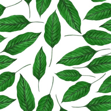 Tekstil tasarımı için suluboya tropikal yaprakları ve çiçekleri olan modern, soyut, dikişsiz desen. Geçmişe dönük parlak yaz geçmişi. Orman yaprakları çizimi. Mayo botanik tasarımı. Antika egzotik baskı.