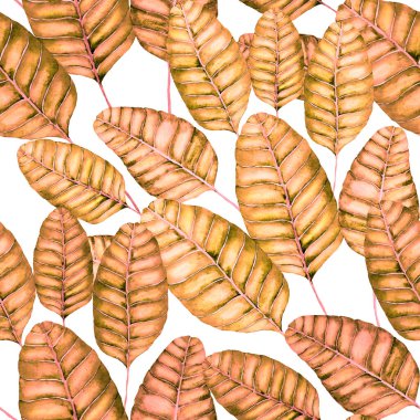 Tekstil tasarımı için suluboya tropikal yaprakları ve çiçekleri olan modern, soyut, dikişsiz desen. Geçmişe dönük parlak yaz geçmişi. Orman yaprakları çizimi. Mayo botanik tasarımı. Antika egzotik baskı.