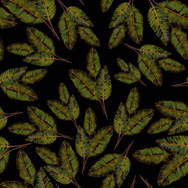 Tekstil tasarımı için suluboya tropikal yaprakları ve çiçekleri olan modern, soyut, dikişsiz desen. Geçmişe dönük parlak yaz geçmişi. Orman yaprakları çizimi. Mayo botanik tasarımı. Antika egzotik baskı.