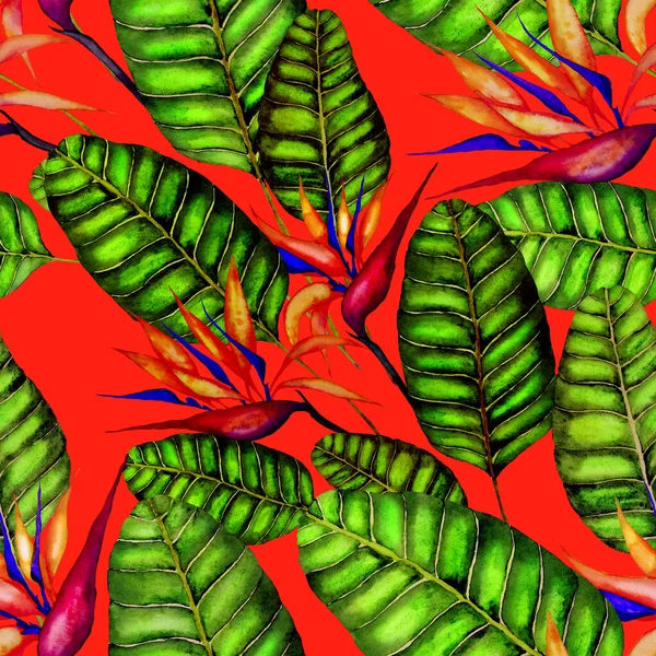 Padrão Abstrato Sem Costura Moderna Com Aquarela Folhas Tropicais Flores — Fotografia de Stock