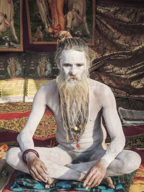 Allahabad, Hindistan - 12 Şubat 2013: Sadhu fotoğraf için poz verdi Kumbh Mela festivali, Allahabad, Hindistan.