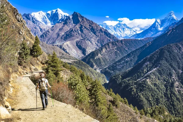 Himalaias Nepal Fevereiro 2019 Menina Fazendo Trekking Cercada Por Belas — Fotografia de Stock