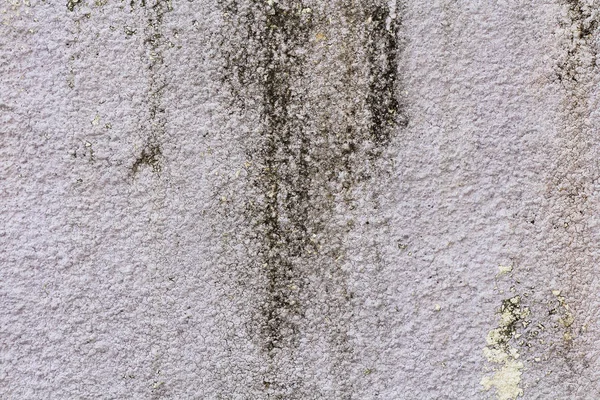 Fondo Textura Pared Hormigón Piedra Natural Decoración Fachada Del Edificio —  Fotos de Stock