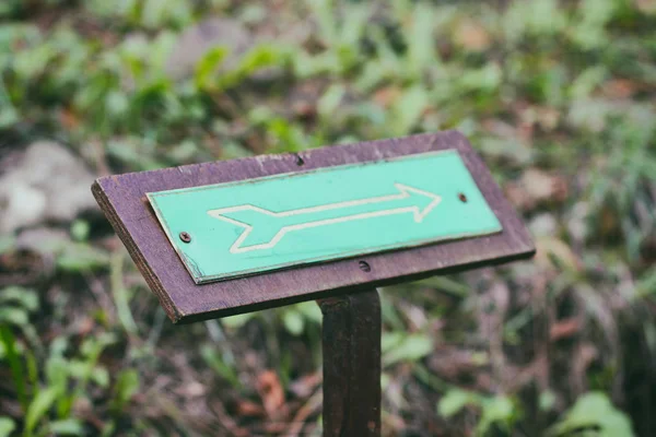 Green sign indicating the direction in the forest. Forest trail. Tourist walking route. Hiking. A place for a picnic.