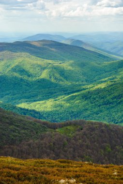 Dağ manzarası. Dağ doruklarına. Hafif lekeler. Karpat Dağları, Ukrayna.