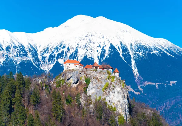 Havadan görünümü arka planda karlı Alp taşla inşa ortaçağ kalesi. Lake Bled Slovenya. Güneşli bir gün, açık mavi gökyüzü