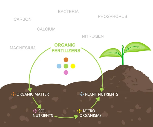 Diagrama de Nutrientes em Fertilizantes Orgânicos —  Vetores de Stock