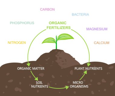 Diagram of Nutrients in Organic Fertilizers clipart