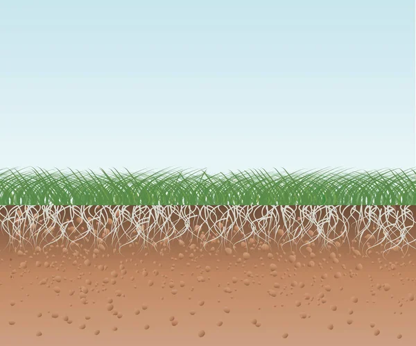 Erba con radici e terreno — Vettoriale Stock