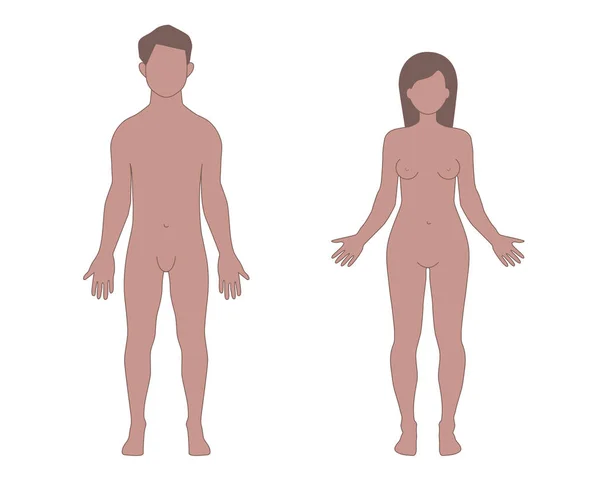 男性と女性の人間体の形 — ストックベクタ