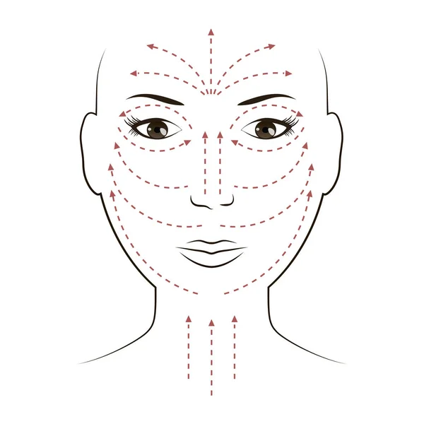 Linhas de massagem facial para aplicação de creme no rosto — Vetor de Stock