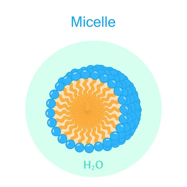 Micelle renk simgesi — Stok Vektör