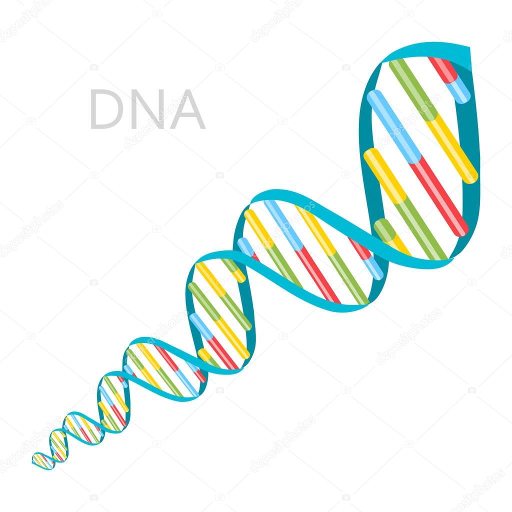 DNA Strands Icon