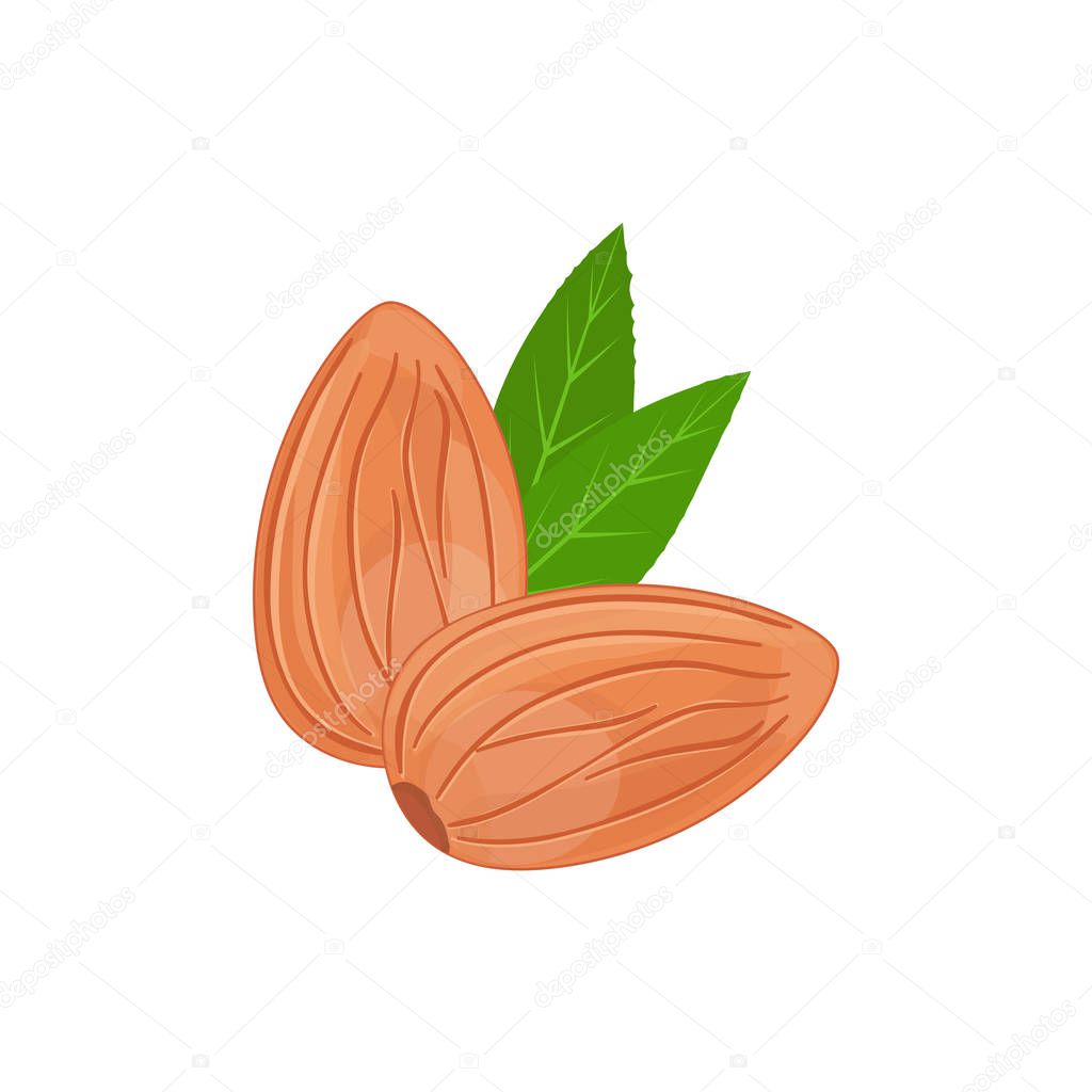 Almond Nuts with Leaves