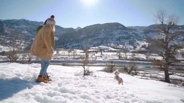 Schönes junges Paar amüsiert sich mit kleinem Hund auf einem verschneiten Hügel — Stockvideo