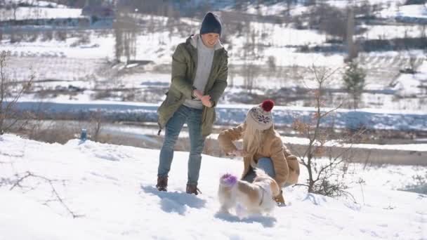 Young beautiful couple having fun with small active dog on a snowy hill — Stock Video