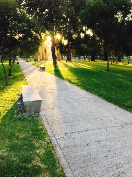 Το πρωί στο πάρκο, τον ήλιο να ανατέλλει μεταξύ των δέντρων — Φωτογραφία Αρχείου