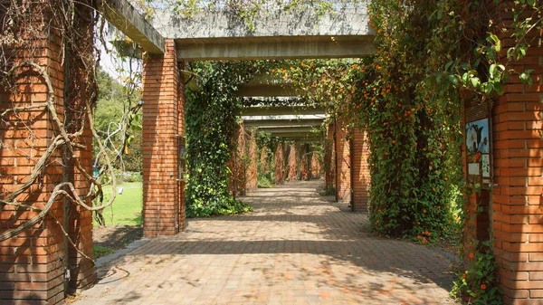 Bogota, Cundinamarca / Kolumbie - 16. ledna 2016: procházka v botanické zahradě Bogota — Stock fotografie