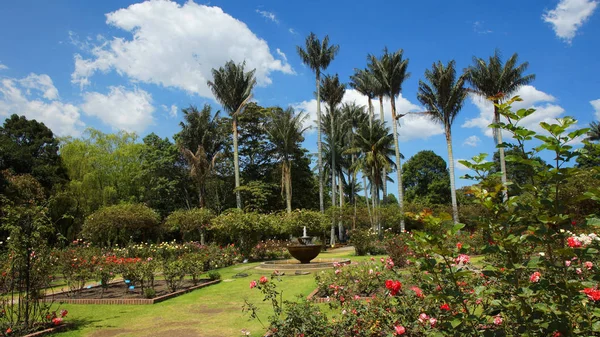 Bogota, Cundinamarca / Kolumbia - január 18 2016: Nézd, a kert, a központban a Bogota botanikus kert szökőkúttal — Stock Fotó