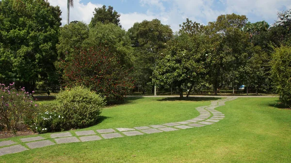 Caminho de pedra através do jardim com árvores no fundo - Cena do jardim — Fotografia de Stock