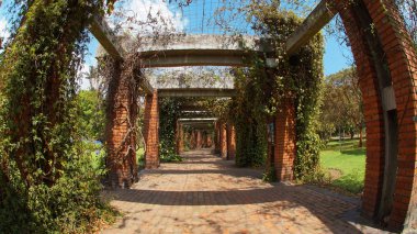 Bogota, Cundinamarca / Kolombiya - 16 Ocak 2016: yürüyüş de Bogota Botanik Bahçe