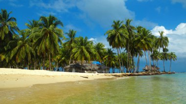 Beach and sea background of palm trees in Aguja Island, Las perlas / Panama clipart