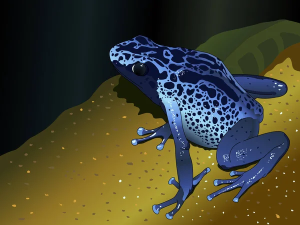 Pralesnička azurová žába Dendrobates pumilio na tmavě modrém pozadí - vektorový obrázek — Stockový vektor