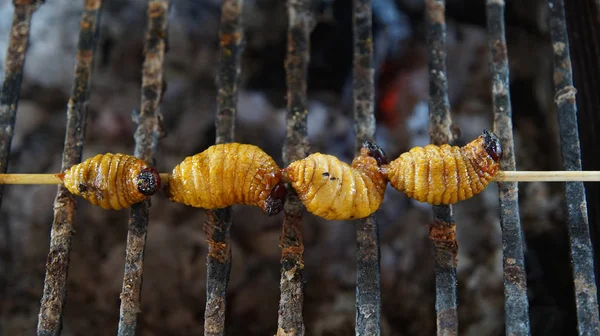 Vermi arrosto chiamati Chontacuros o Mayones. Questi vermi sono un cibo tradizionale delle popolazioni indigene dell'Amazzonia ecuadoriana. — Foto Stock