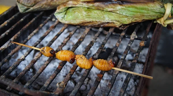 구운된 벌레 Chontacuros 또는 Mayones입니다. 이 벌레는 에콰도르 아마존의 원주민 들의 전통 음식 — 스톡 사진