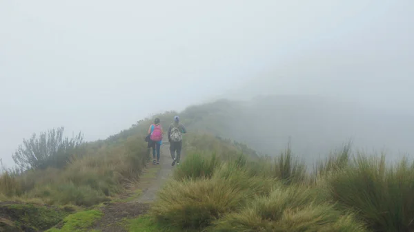 Couple looking backwards walking towards the summit of the Rucu Pichincha volcano on a cloudy day, near the city of Quito. With copy space
