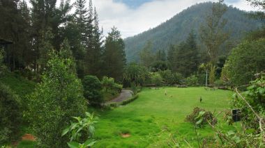 Guapulo, Pichincha / Ekvator - 11 Haziran 2016: Park, Guapulo içinde Quito şehir oynarken Çift